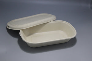 Baggase Food Container